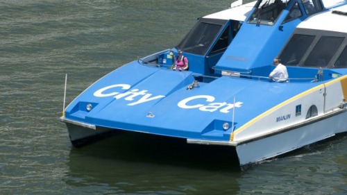 Council has faced questions about accessibility on the city's CityCats.